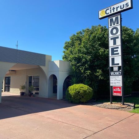 Citrus Motel Griffith Exteriör bild