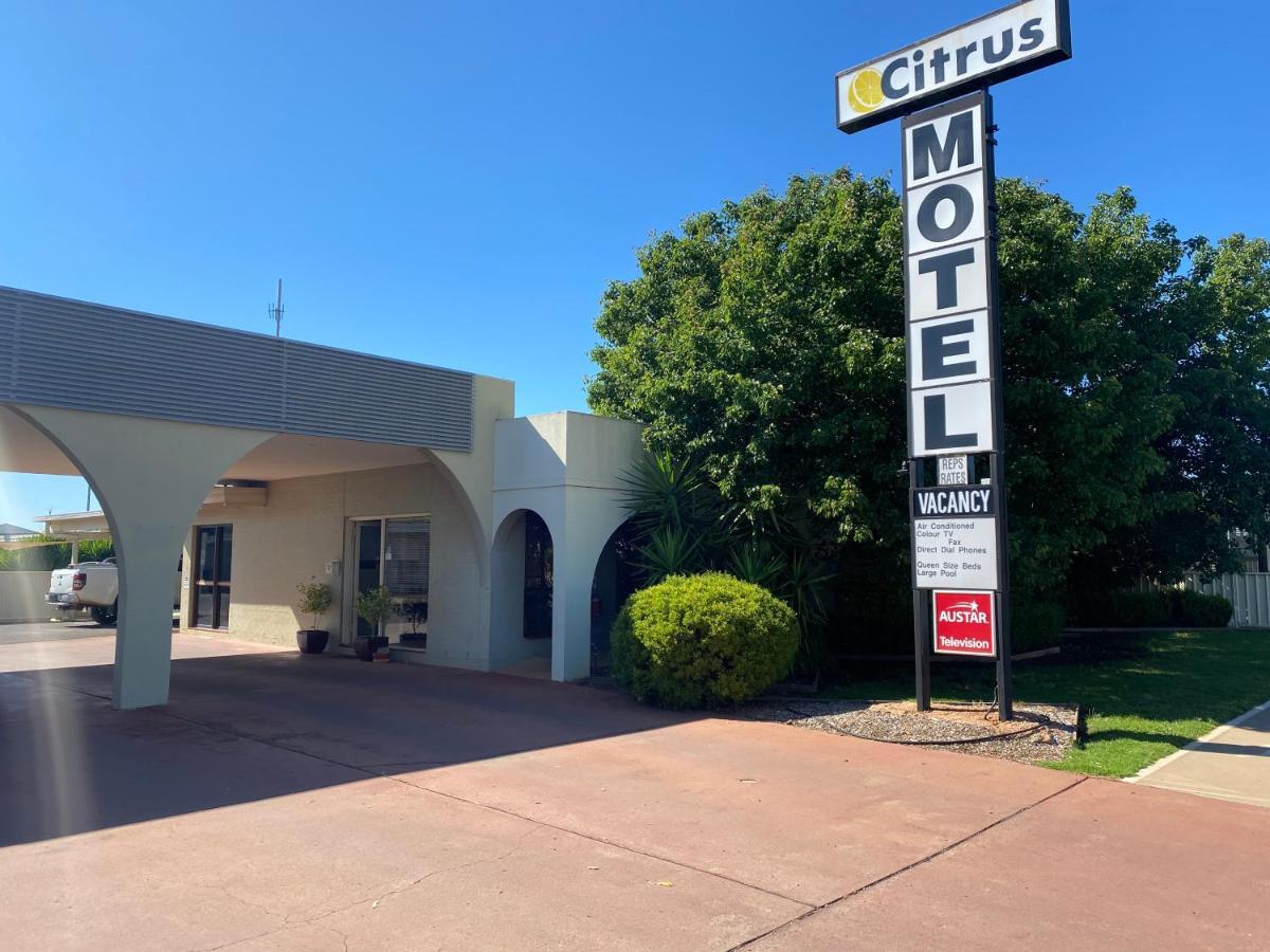 Citrus Motel Griffith Exteriör bild